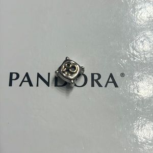 Pandora charm